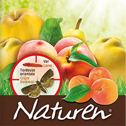 piege a pheromones - ver des fruits - naturen